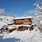 Alpenland 3* Niederau